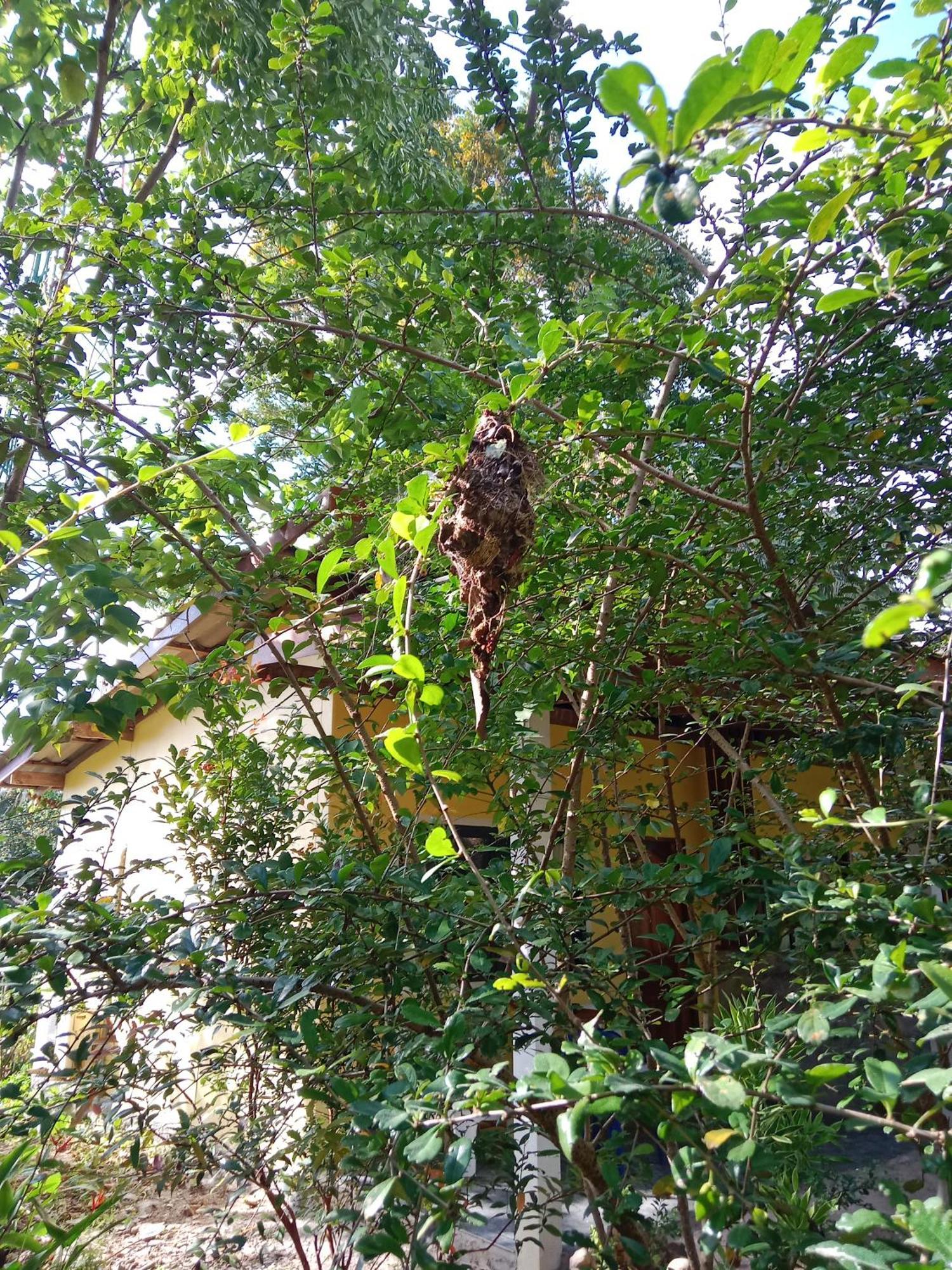 Som Palmgarden Hotel Ko Lanta Kültér fotó