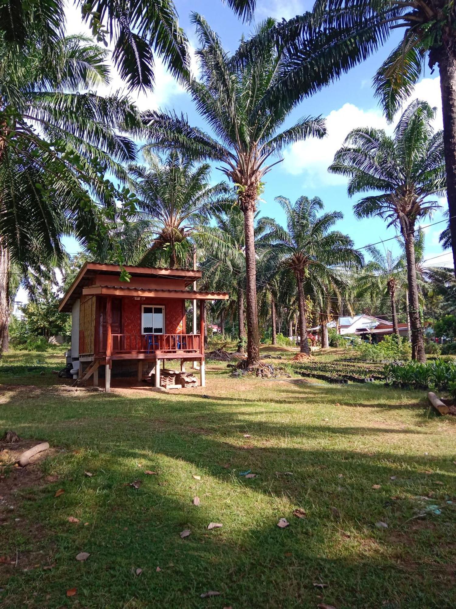 Som Palmgarden Hotel Ko Lanta Kültér fotó