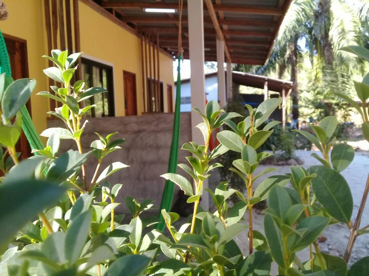 Som Palmgarden Hotel Ko Lanta Kültér fotó