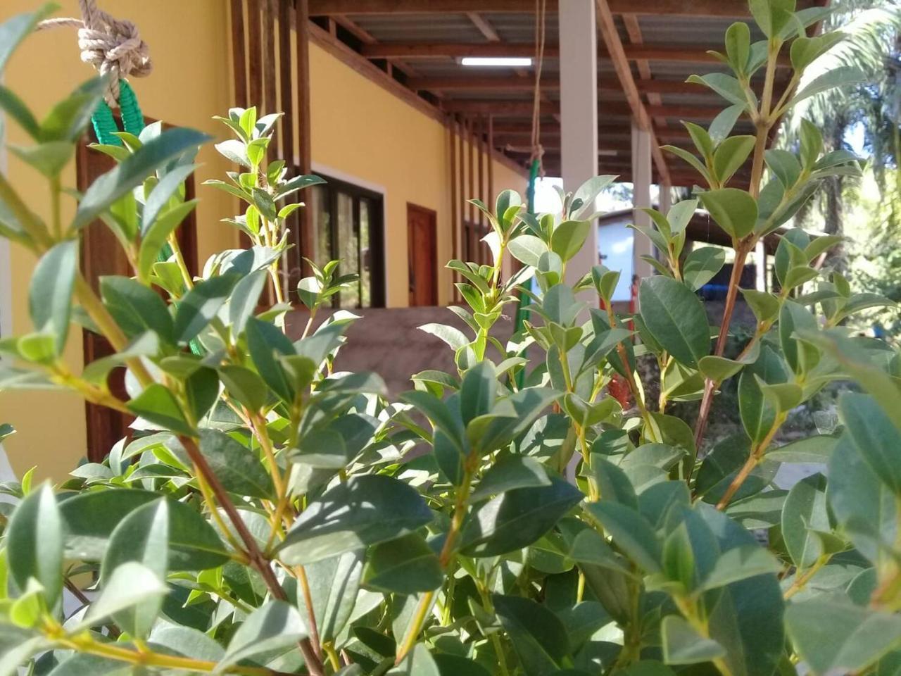 Som Palmgarden Hotel Ko Lanta Kültér fotó